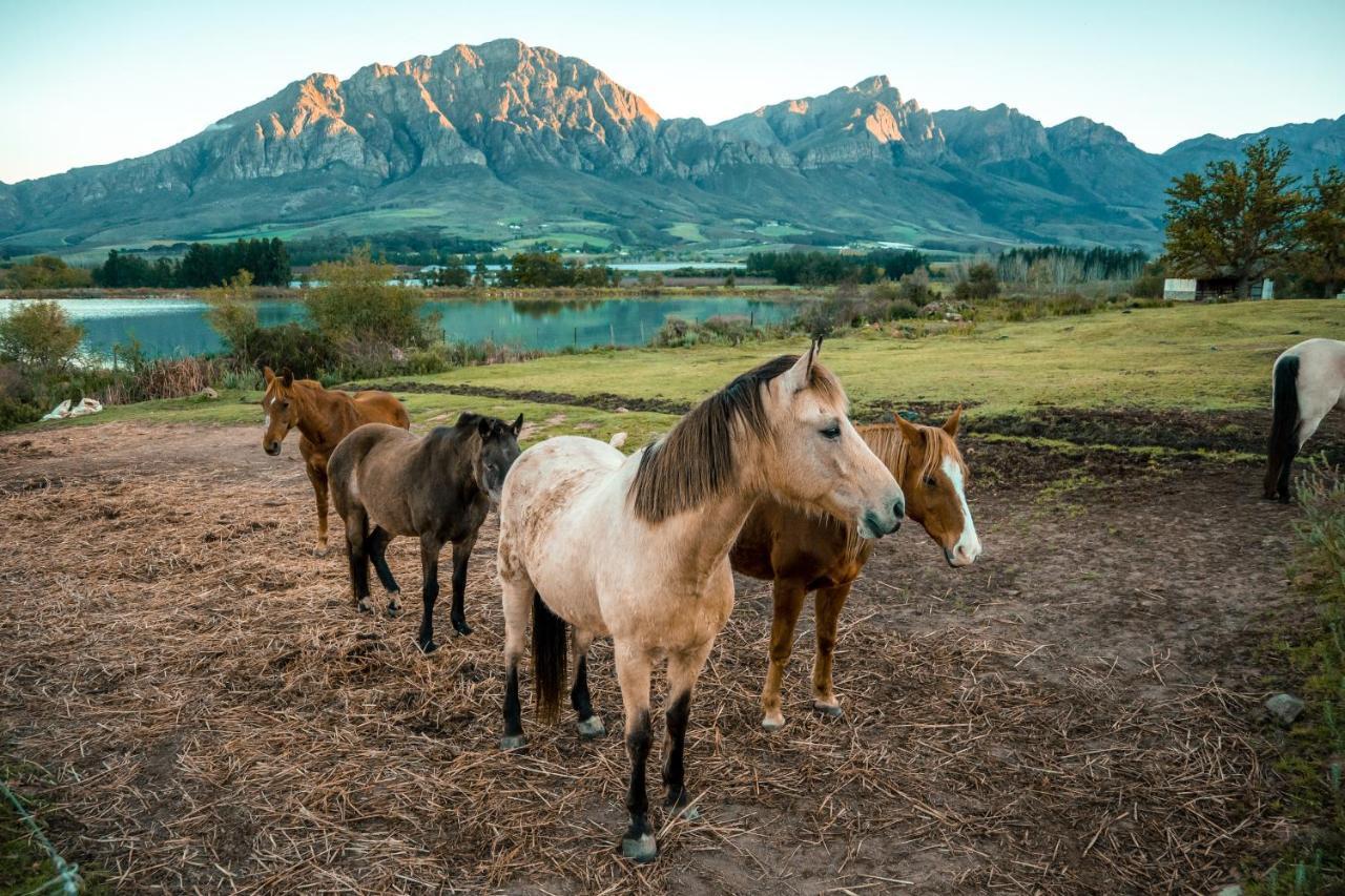 Tulbagh Boutique Heritage Hotel Zewnętrze zdjęcie